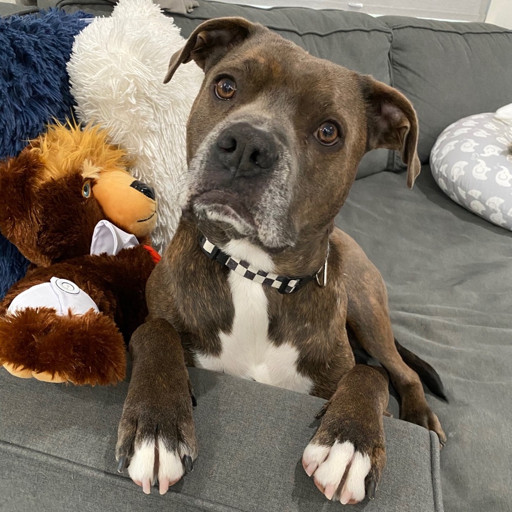 Meet your Posher, Kylie